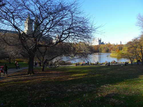 NYC_2012-11-22 14-42-49_P1070566